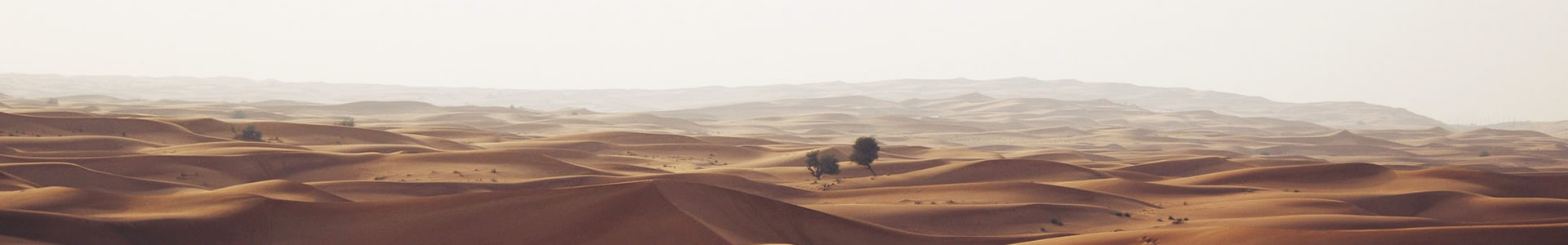 ز²޹˾